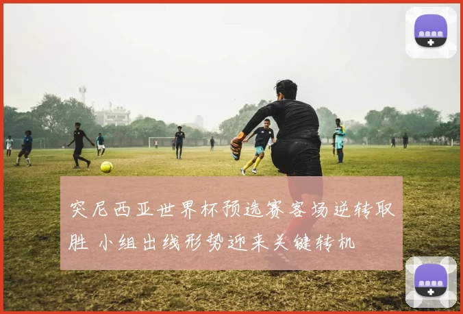 突尼西亚世界杯预选赛客场逆转取胜 小组出线形势迎来关键转机