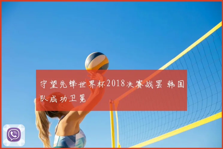 守望先锋世界杯2018决赛战罢 韩国队成功卫冕