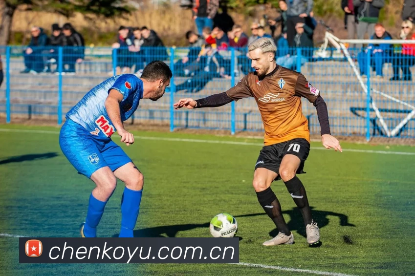 足球世界杯官网中文版平台生态图